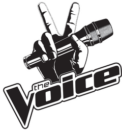 The Voice (TV series)